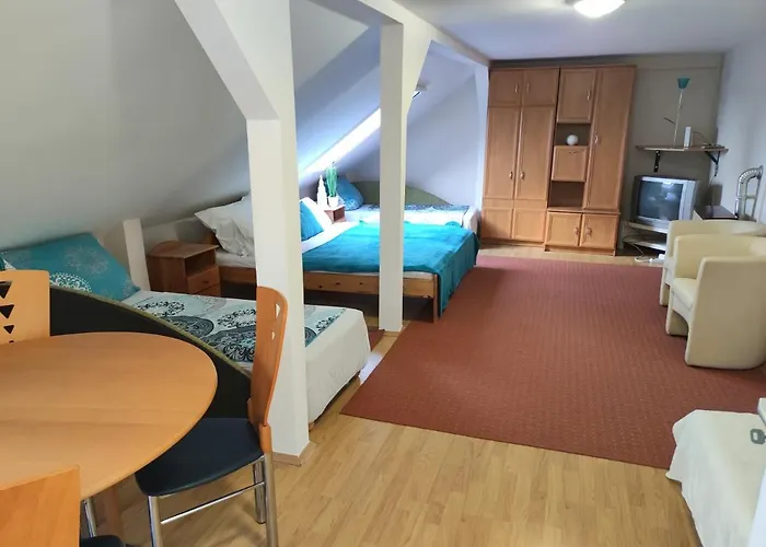 Pensjonat Vendeghaz 3*